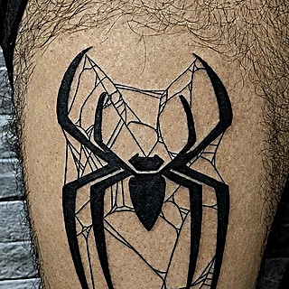 Detalle de la araña en negro sólido