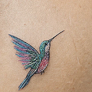 Detalle del colibrí a color en azul, verde y magenta