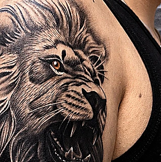 Detalle de la cara del león en realismo negro y gris
